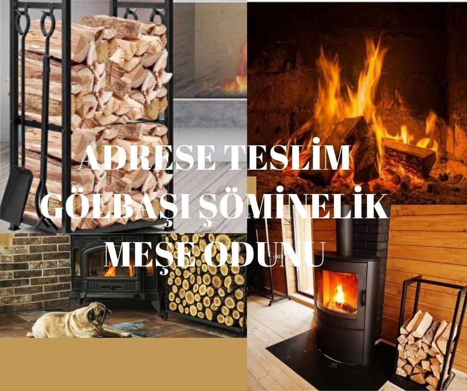 gölbası oduncum
