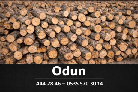 Sobalık Odun